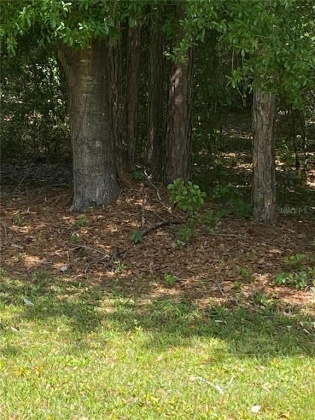 0 EVERGREEN BOULEVARD, POLK CITY, Florida 33868, ,Land,For Sale,EVERGREEN,G5040585