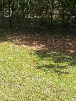 0 EVERGREEN BOULEVARD, POLK CITY, Florida 33868, ,Land,For Sale,EVERGREEN,G5040585