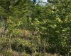 0 EVERGREEN BOULEVARD, POLK CITY, Florida 33868, ,Land,For Sale,EVERGREEN,G5040585