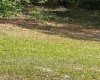 0 EVERGREEN BOULEVARD, POLK CITY, Florida 33868, ,Land,For Sale,EVERGREEN,G5040585