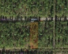1115 PALM AVENUE, INDIAN LAKE ESTATES, Florida 33855, ,Land,For Sale,PALM,O5999922