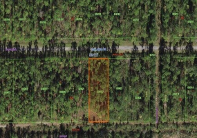 1115 PALM AVENUE, INDIAN LAKE ESTATES, Florida 33855, ,Land,For Sale,PALM,O5999922