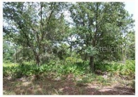 805 ALTHEA DRIVE, LAKE WALES, Florida 33898, ,Land,For Sale,ALTHEA,O5999942