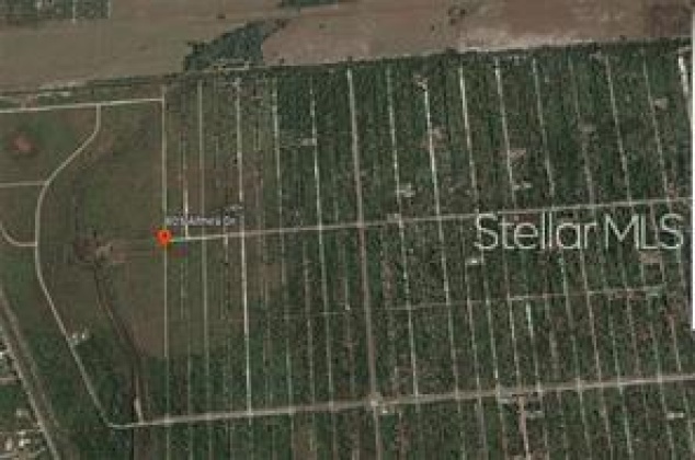 805 ALTHEA DRIVE, LAKE WALES, Florida 33898, ,Land,For Sale,ALTHEA,O5999942