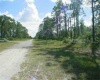 805 ALTHEA DRIVE, LAKE WALES, Florida 33898, ,Land,For Sale,ALTHEA,O5999942