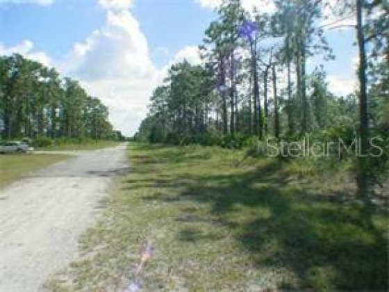 805 ALTHEA DRIVE, LAKE WALES, Florida 33898, ,Land,For Sale,ALTHEA,O5999942