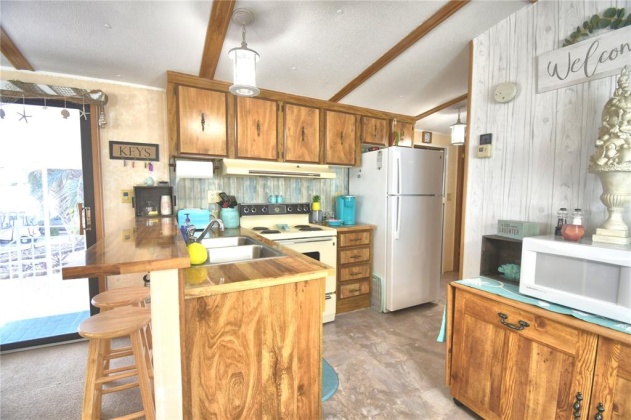 251 PATTERSON ROAD, HAINES CITY, Florida 33844, 2 Bedrooms Bedrooms, ,2 BathroomsBathrooms,Residential,For Sale,PATTERSON,P4919131