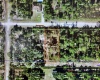 619 VALENCIA DRIVE, INDIAN LAKE ESTATES, Florida 33855, ,Land,For Sale,VALENCIA,T3352346
