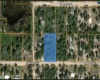 0 CROWS BLUFF AVENUE, LAKE WALES, Florida 33859, ,Land,For Sale,CROWS BLUFF,OM633368