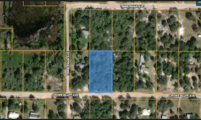 0 CROWS BLUFF AVENUE, LAKE WALES, Florida 33859, ,Land,For Sale,CROWS BLUFF,OM633368