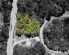 425 RAINBOW COURT, POINCIANA, Florida 34759, ,Land,For Sale,RAINBOW,O5999673