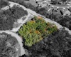 425 RAINBOW COURT, POINCIANA, Florida 34759, ,Land,For Sale,RAINBOW,O5999673