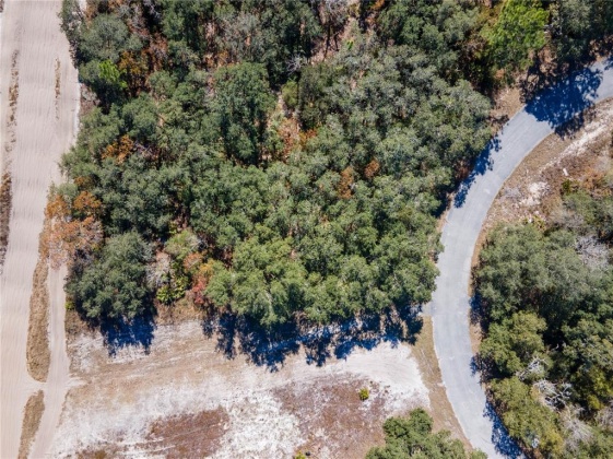 425 RAINBOW COURT, POINCIANA, Florida 34759, ,Land,For Sale,RAINBOW,O5999673