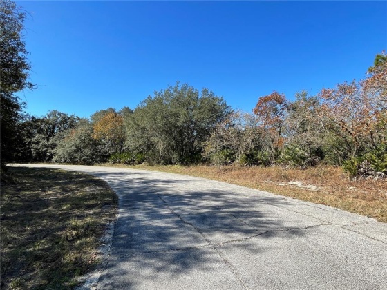 521 ST JOHNS COURT, POINCIANA, Florida 34759, ,Land,For Sale,ST JOHNS,O6000327