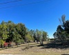 389 TINDEL TRAIL, LAKE WALES, Florida 33898, ,Land,For Sale,TINDEL,O6000408