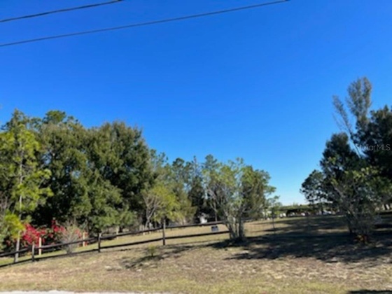389 TINDEL TRAIL, LAKE WALES, Florida 33898, ,Land,For Sale,TINDEL,O6000408