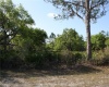 1113 PALM AVENUE, INDIAN LAKE ESTATES, Florida 33855, ,Land,For Sale,PALM,L4927665