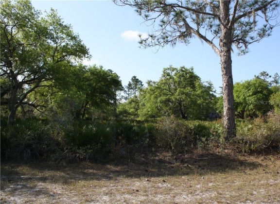 1113 PALM AVENUE, INDIAN LAKE ESTATES, Florida 33855, ,Land,For Sale,PALM,L4927665
