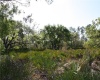 1113 PALM AVENUE, INDIAN LAKE ESTATES, Florida 33855, ,Land,For Sale,PALM,L4927665