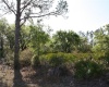 1113 PALM AVENUE, INDIAN LAKE ESTATES, Florida 33855, ,Land,For Sale,PALM,L4927665