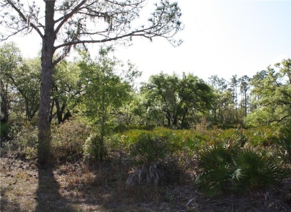 1113 PALM AVENUE, INDIAN LAKE ESTATES, Florida 33855, ,Land,For Sale,PALM,L4927665