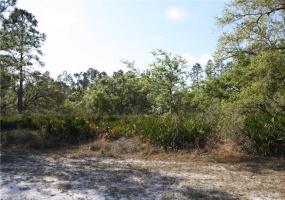 1015 PALM AVENUE, INDIAN LAKE ESTATES, Florida 33855, ,Land,For Sale,PALM,L4927666