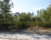 1015 PALM AVENUE, INDIAN LAKE ESTATES, Florida 33855, ,Land,For Sale,PALM,L4927666