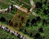 0 ORLANDO DRIVE, LAKE WALES, Florida 33898, ,Land,For Sale,ORLANDO,O5998121