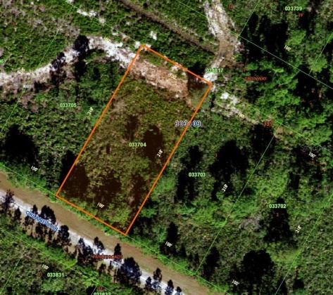 0 ORLANDO DRIVE, LAKE WALES, Florida 33898, ,Land,For Sale,ORLANDO,O5998121