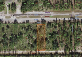916 CAMELLIA DRIVE, INDIAN LAKE ESTATES, Florida 33855, ,Land,For Sale,CAMELLIA,O6000277