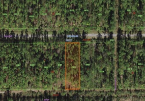 911 PANDORA DRIVE, INDIAN LAKE ESTATES, Florida 33855, ,Land,For Sale,PANDORA,O6001401
