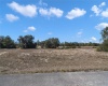 321 BREAM CIRCLE, POINCIANA, Florida 34759, ,Land,For Sale,BREAM,O6001471