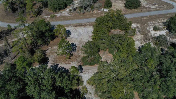 BOWFIN COURT, POINCIANA, Florida 34759, ,Land,For Sale,BOWFIN,O6001476