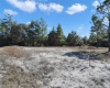 BOWFIN COURT, POINCIANA, Florida 34759, ,Land,For Sale,BOWFIN,O6001476