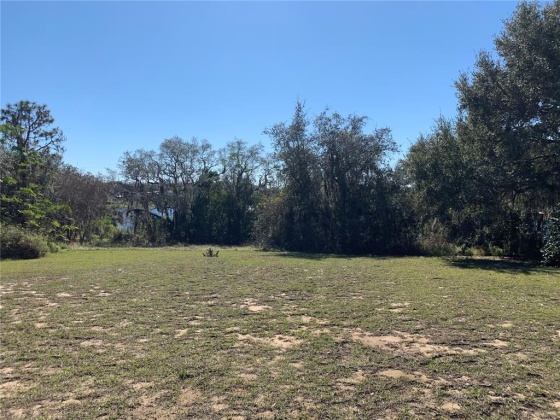 WISTERIA LANE, LAKE WALES, Florida 33898, ,Land,For Sale,WISTERIA,O6001489
