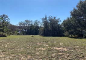 WISTERIA LANE, LAKE WALES, Florida 33898, ,Land,For Sale,WISTERIA,O6001489