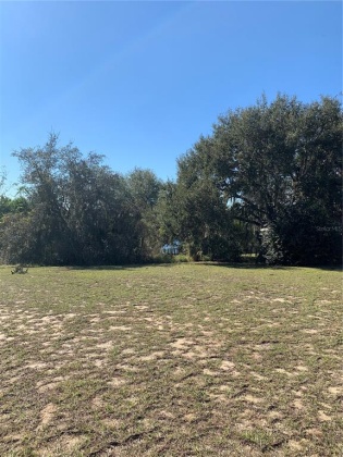 WISTERIA LANE, LAKE WALES, Florida 33898, ,Land,For Sale,WISTERIA,O6001489