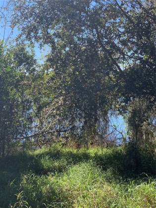 WISTERIA LANE, LAKE WALES, Florida 33898, ,Land,For Sale,WISTERIA,O6001489