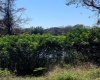 WISTERIA LANE, LAKE WALES, Florida 33898, ,Land,For Sale,WISTERIA,O6001489