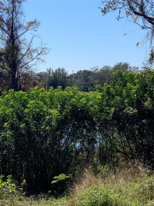 WISTERIA LANE, LAKE WALES, Florida 33898, ,Land,For Sale,WISTERIA,O6001489