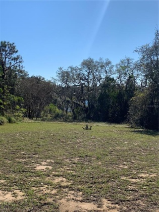WISTERIA LANE, LAKE WALES, Florida 33898, ,Land,For Sale,WISTERIA,O6001489