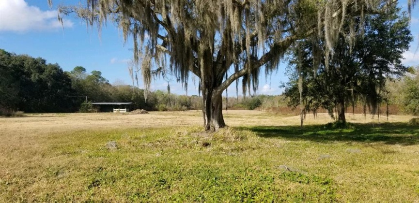 2016 THORNHILL ROAD, AUBURNDALE, Florida 33823, 3 Bedrooms Bedrooms, ,2 BathroomsBathrooms,Residential,For Sale,THORNHILL,B4900923