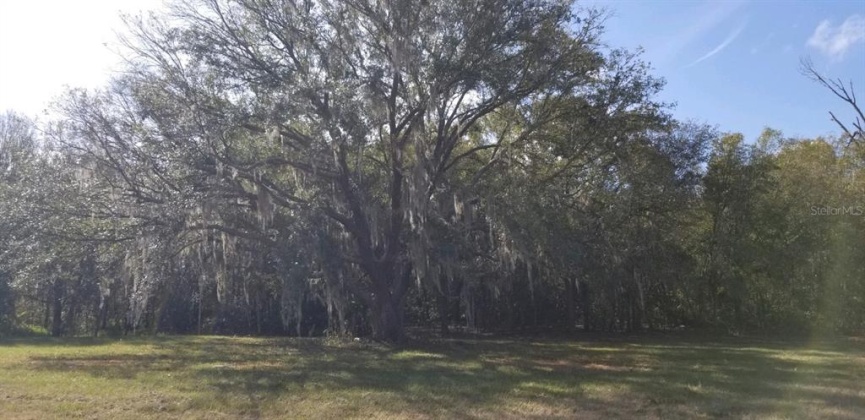 2016 THORNHILL ROAD, AUBURNDALE, Florida 33823, 3 Bedrooms Bedrooms, ,2 BathroomsBathrooms,Residential,For Sale,THORNHILL,B4900923