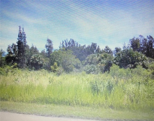 0 LANTANA DRIVE, INDIAN LAKE ESTATES, Florida 33855, ,Land,For Sale,LANTANA,T3353512