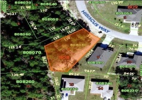 2117 HIBISCUS WAY, POINCIANA, Florida 34759, ,Land,For Sale,HIBISCUS,O6001938