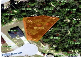 251 HIBISCUS LANE, POINCIANA, Florida 34759, ,Land,For Sale,HIBISCUS,O6001960