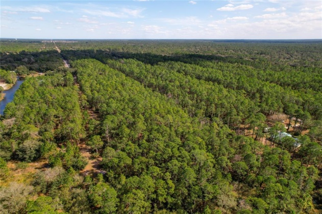 POINCIANA DRIVE, INDIAN LAKE ESTATES, Florida 33855, ,Land,For Sale,POINCIANA,O6001261