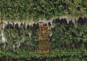 1017 PANDORA DRIVE, INDIAN LAKE ESTATES, Florida 33855, ,Land,For Sale,PANDORA,O6002053