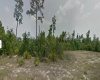 265 HYACINTH COURT, POINCIANA, Florida 34759, ,Land,For Sale,HYACINTH,O5992116