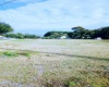 0 BUMBY LANE, AUBURNDALE, Florida 33823, ,Land,For Sale,BUMBY,P4919290